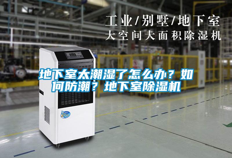 地下室太潮濕了怎么辦？如何防潮？地下室除濕機