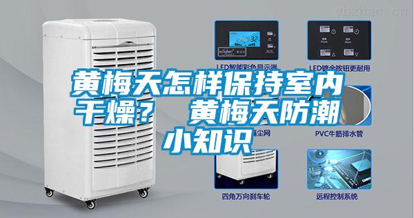 黃梅天怎樣保持室內(nèi)干燥？ 黃梅天防潮小知識(shí)