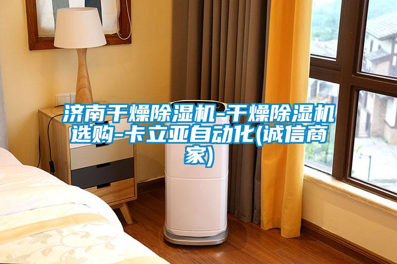 濟(jì)南干燥除濕機(jī)-干燥除濕機(jī)選購-卡立亞自動化(誠信商家)