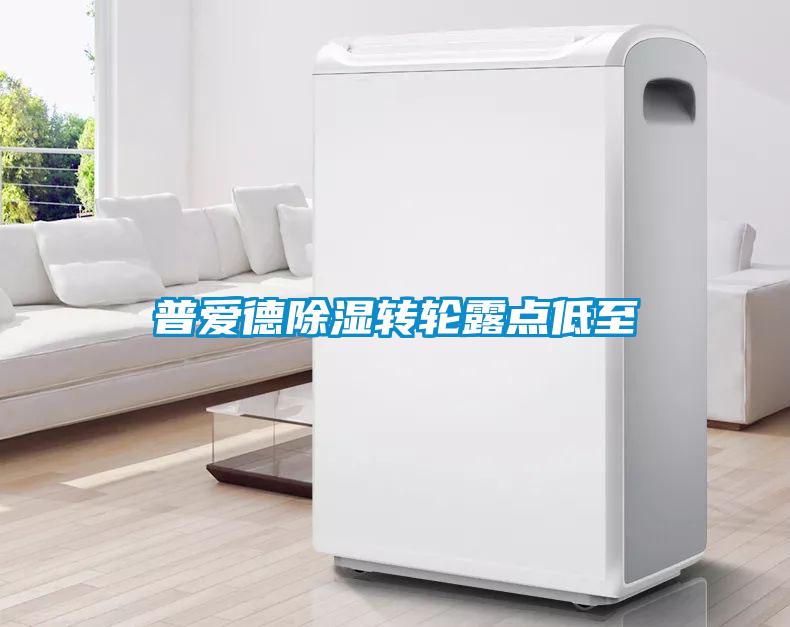 普愛(ài)德除濕轉(zhuǎn)輪露點(diǎn)低至
