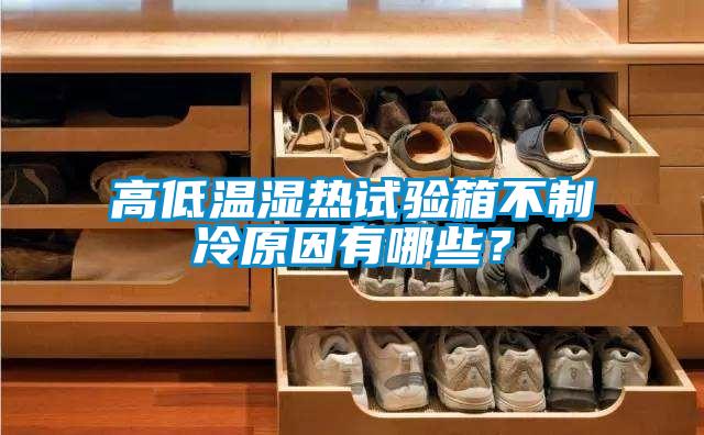 高低溫濕熱試驗箱不制冷原因有哪些？