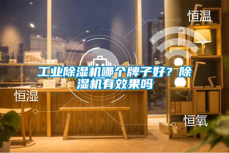 工業除濕機哪個牌子好？除濕機有效果嗎