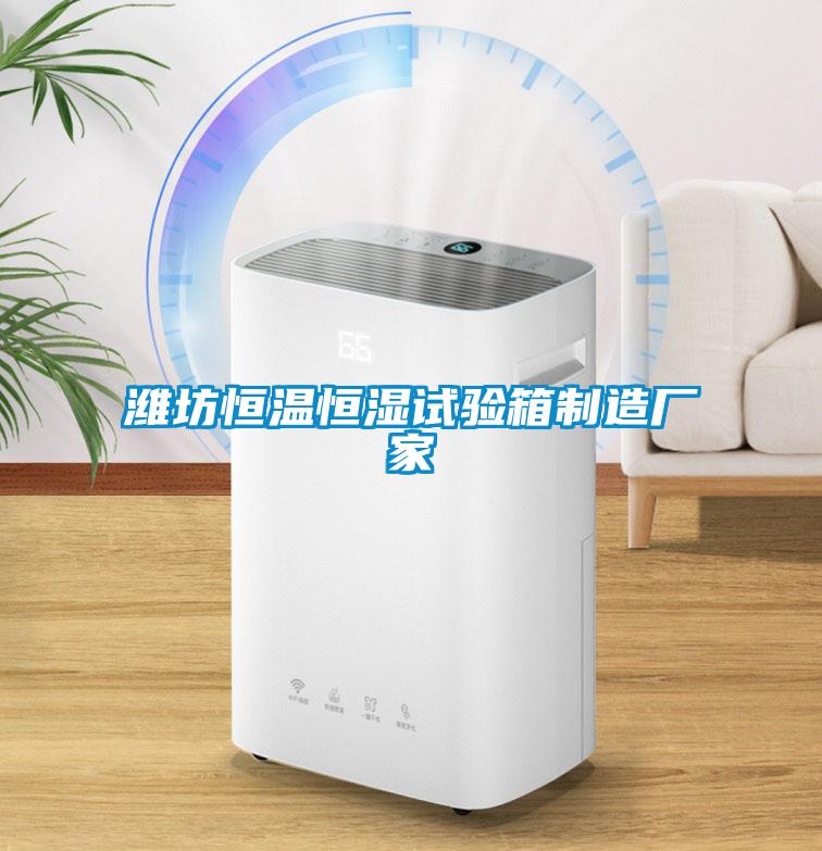 濰坊恒溫恒濕試驗(yàn)箱制造廠(chǎng)家