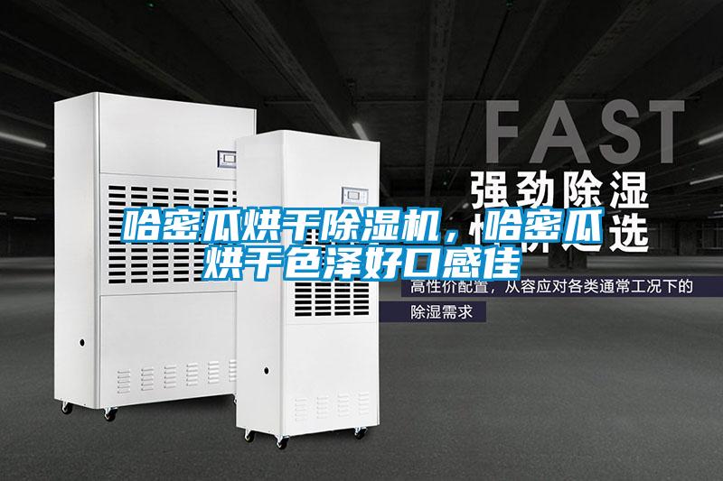 哈密瓜烘干除濕機，哈密瓜烘干色澤好口感佳