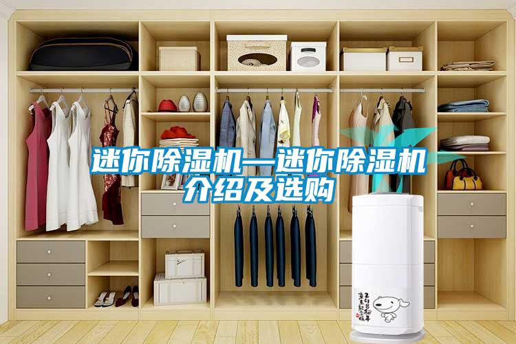 迷你除濕機(jī)—迷你除濕機(jī)介紹及選購(gòu)