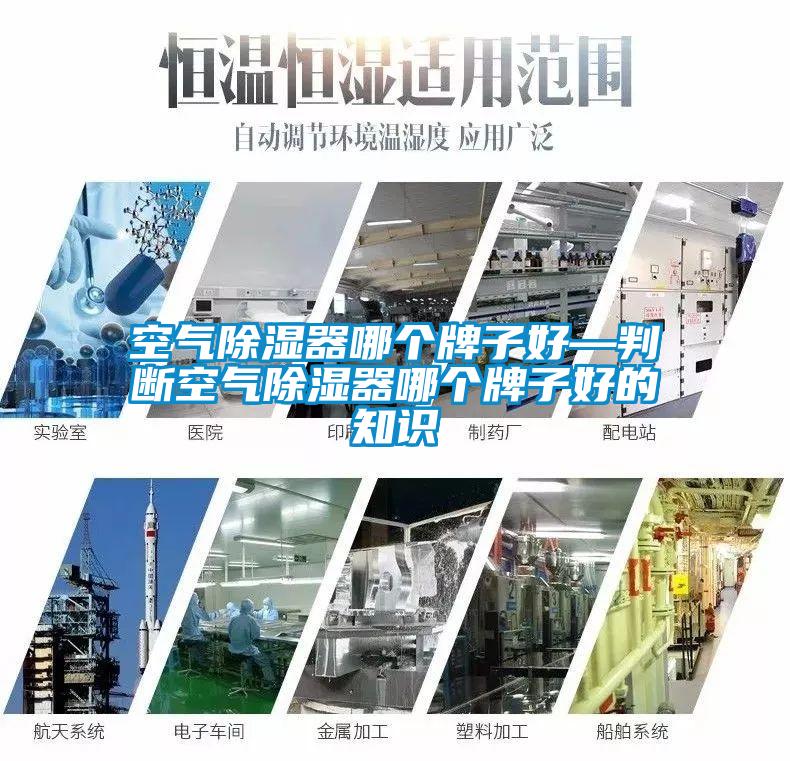 空氣除濕器哪個(gè)牌子好—判斷空氣除濕器哪個(gè)牌子好的知識(shí)