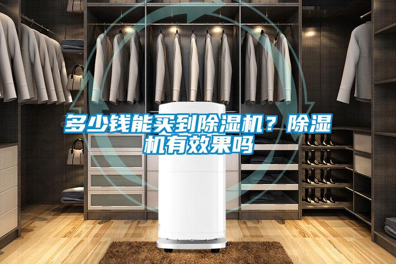 多少錢(qián)能買(mǎi)到除濕機(jī)？除濕機(jī)有效果嗎
