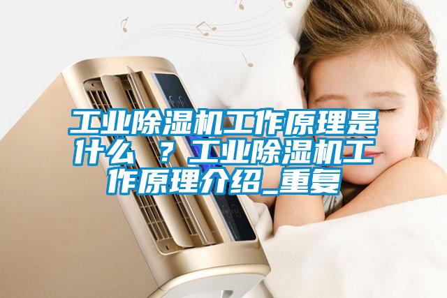 工業(yè)除濕機(jī)工作原理是什么 ？工業(yè)除濕機(jī)工作原理介紹_重復(fù)