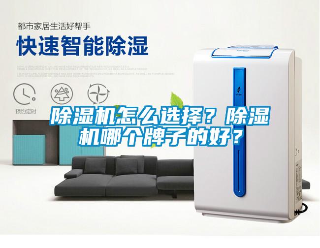 除濕機怎么選擇？除濕機哪個牌子的好？