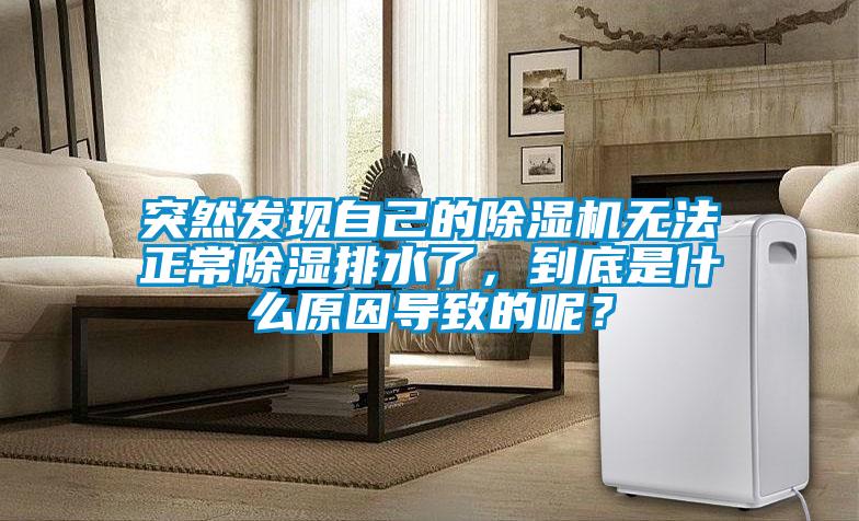 突然發(fā)現(xiàn)自己的除濕機(jī)無(wú)法正常除濕排水了，到底是什么原因?qū)е碌哪兀?/></p>
						    <p style=