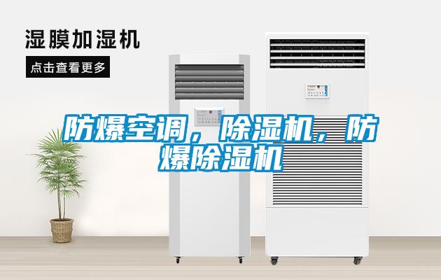 防爆空調(diào)，除濕機(jī)，防爆除濕機(jī)