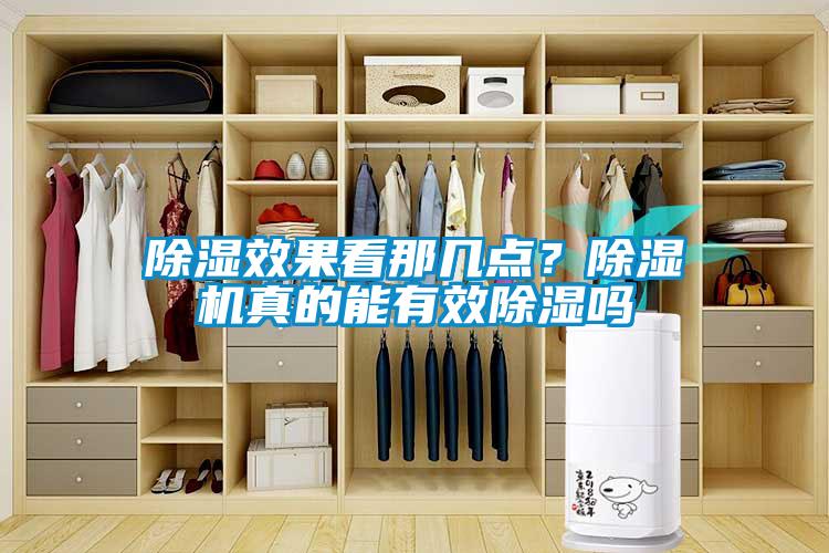 除濕效果看那幾點？除濕機真的能有效除濕嗎