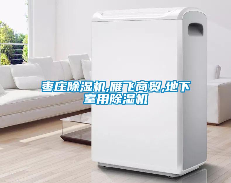 棗莊除濕機,雁飛商貿(mào),地下室用除濕機