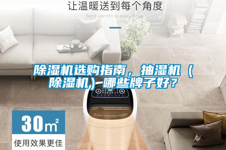 除濕機選購指南，抽濕機（除濕機）哪些牌子好？