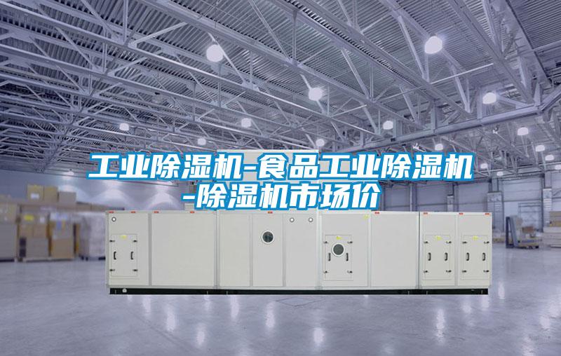 工業(yè)除濕機(jī)-食品工業(yè)除濕機(jī)-除濕機(jī)市場價(jià)