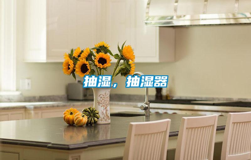 抽濕，抽濕器
