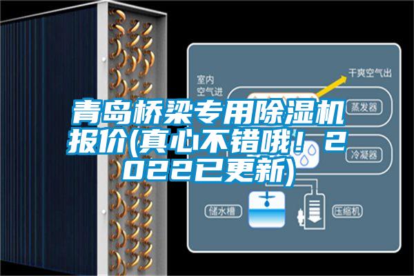 青島橋梁專用除濕機(jī)報(bào)價(jià)(真心不錯(cuò)哦！2022已更新)