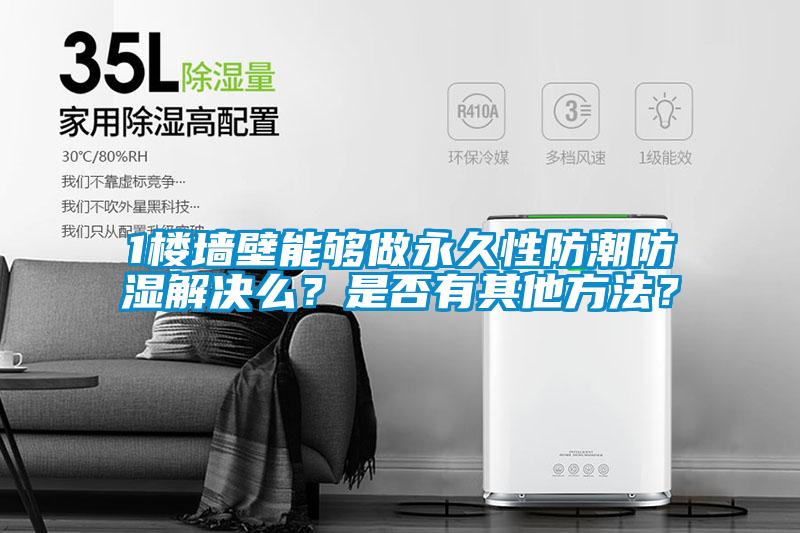 1樓墻壁能夠做永久性防潮防濕解決么？是否有其他方法？