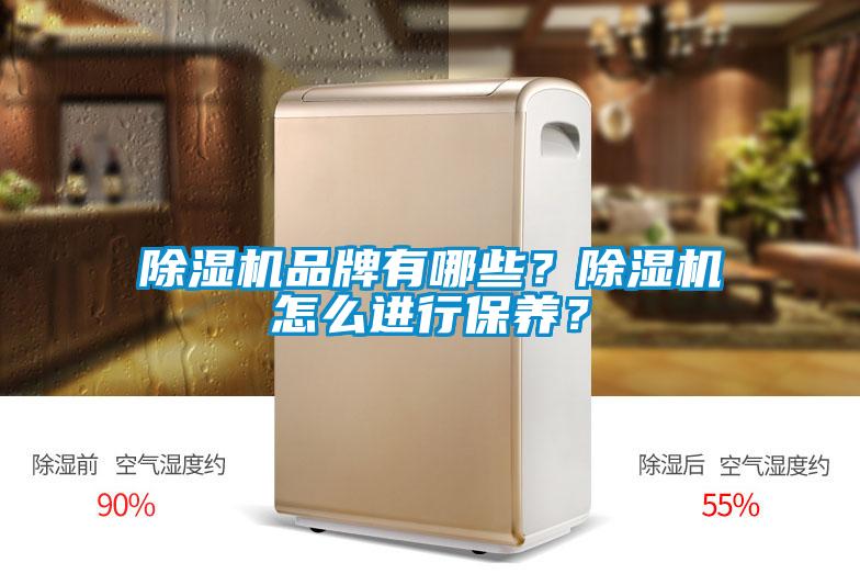 除濕機品牌有哪些？除濕機怎么進(jìn)行保養(yǎng)？