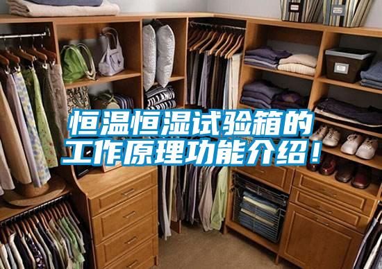 恒溫恒濕試驗箱的工作原理功能介紹！
