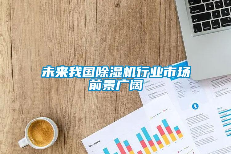 未來我國除濕機行業(yè)市場前景廣闊