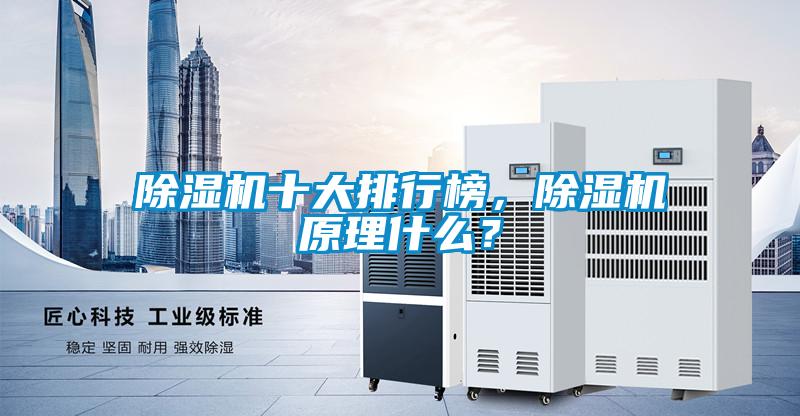 除濕機十大排行榜，除濕機原理什么？