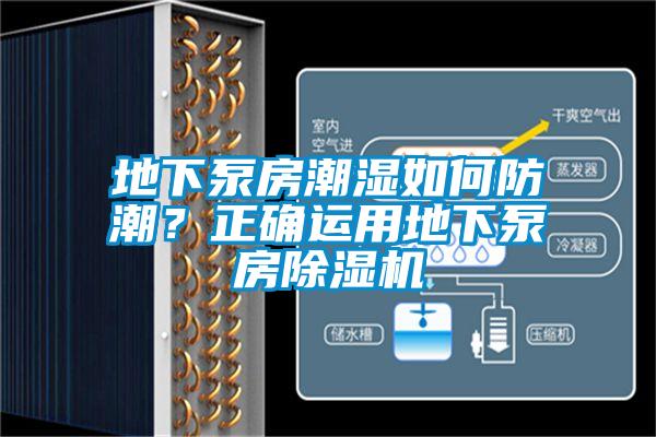 地下泵房潮濕如何防潮？正確運(yùn)用地下泵房除濕機(jī)
