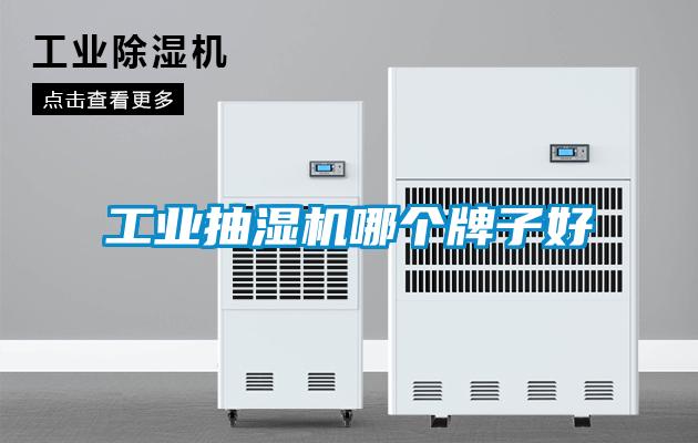 工業(yè)抽濕機(jī)哪個牌子好