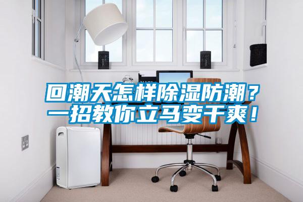 回潮天怎樣除濕防潮？一招教你立馬變干爽！