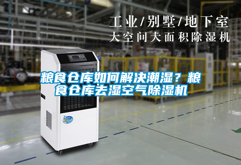 糧食倉庫如何解決潮濕？糧食倉庫去濕空氣除濕機