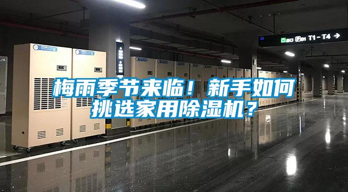 梅雨季節來臨！新手如何挑選家用除濕機？