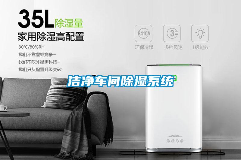 潔凈車(chē)間除濕系統(tǒng)
