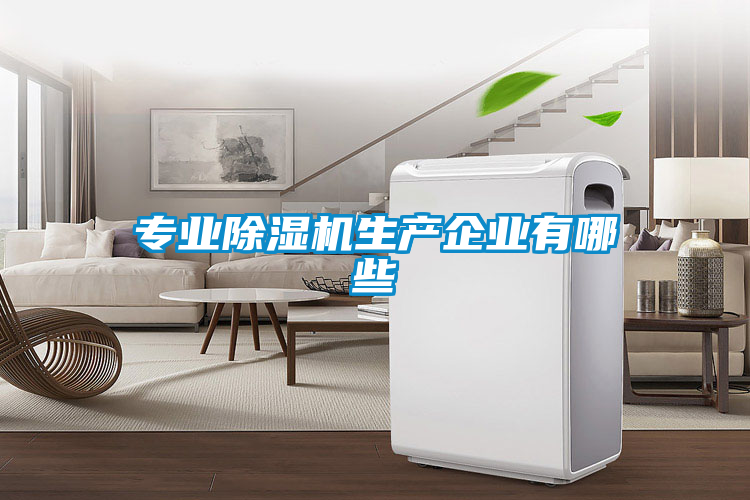 專業(yè)除濕機生產企業(yè)有哪些