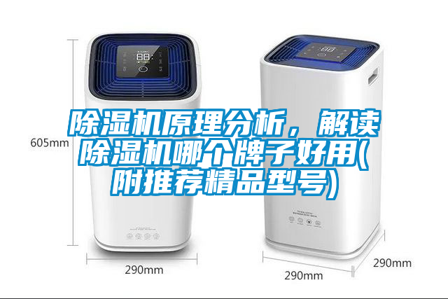 除濕機原理分析，解讀除濕機哪個牌子好用(附推薦精品型號)