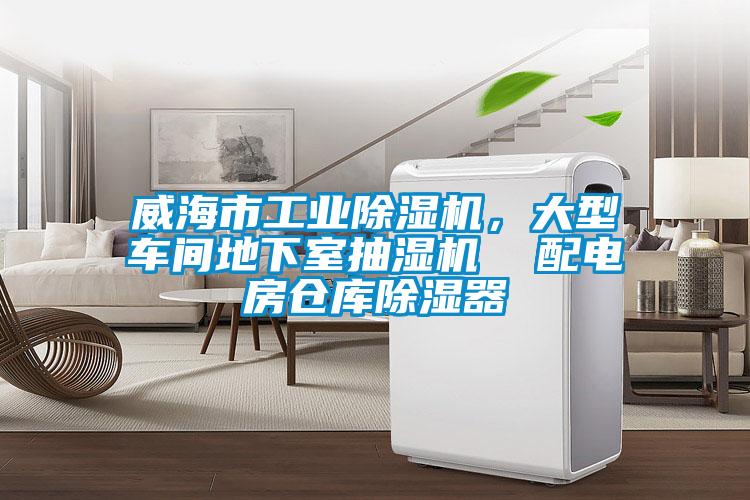 威海市工業(yè)除濕機(jī)，大型車(chē)間地下室抽濕機(jī)  配電房倉(cāng)庫(kù)除濕器