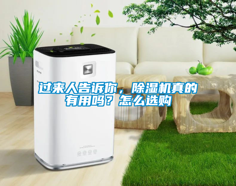 過(guò)來(lái)人告訴你，除濕機(jī)真的有用嗎？怎么選購(gòu)