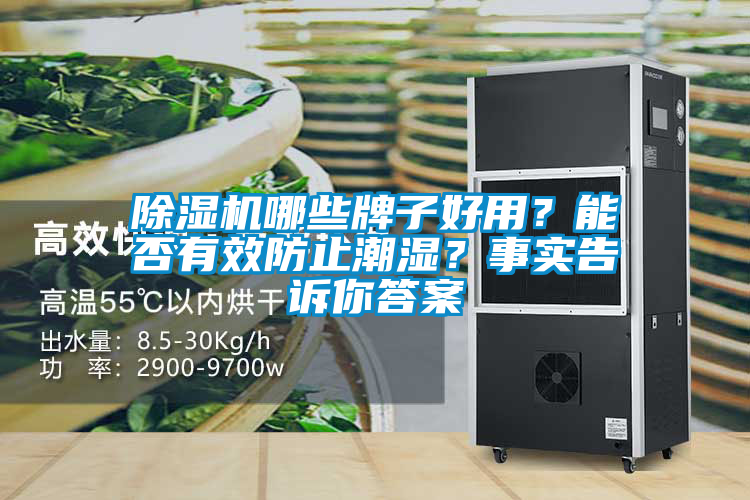 除濕機哪些牌子好用？能否有效防止潮濕？事實告訴你答案