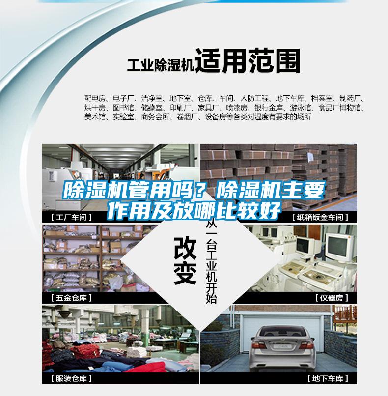 除濕機管用嗎？除濕機主要作用及放哪比較好