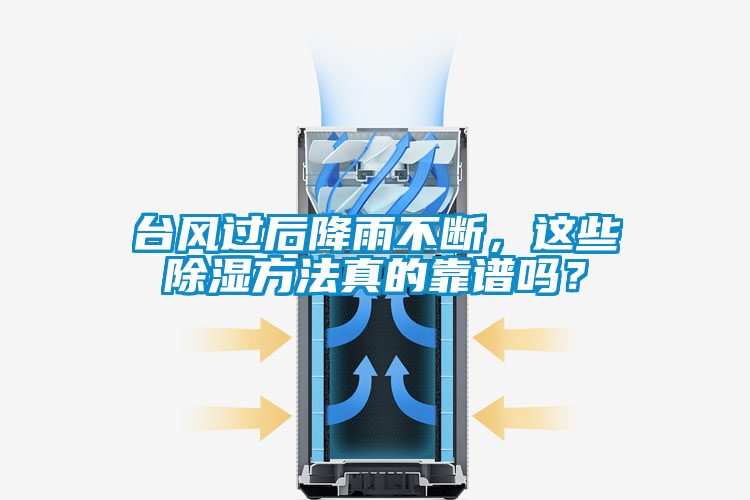 臺(tái)風(fēng)過后降雨不斷，這些除濕方法真的靠譜嗎？