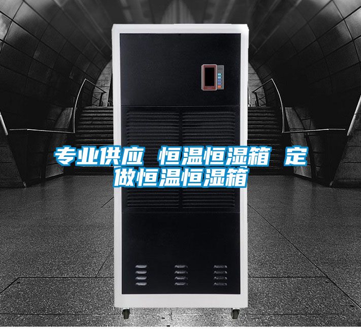 專(zhuān)業(yè)供應(yīng) 恒溫恒濕箱 定做恒溫恒濕箱