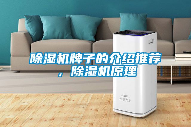 除濕機牌子的介紹推薦，除濕機原理
