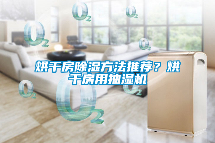 烘干房除濕方法推薦？烘干房用抽濕機(jī)