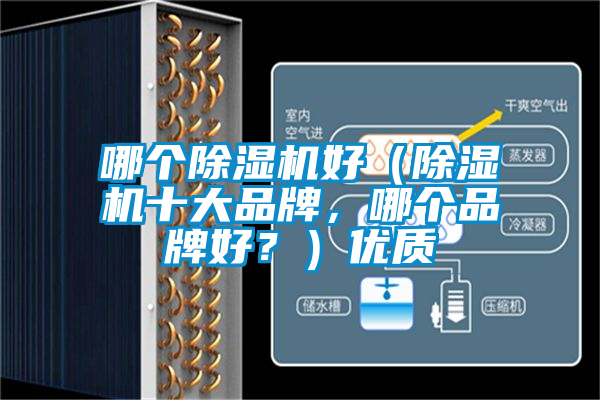 哪個除濕機好（除濕機十大品牌，哪個品牌好？）優質