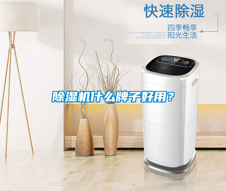 除濕機(jī)什么牌子好用？