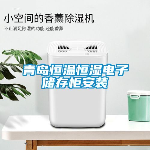青島恒溫恒濕電子儲(chǔ)存柜安裝