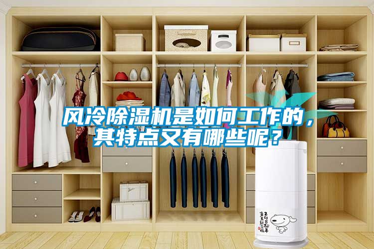風(fēng)冷除濕機是如何工作的，其特點又有哪些呢？