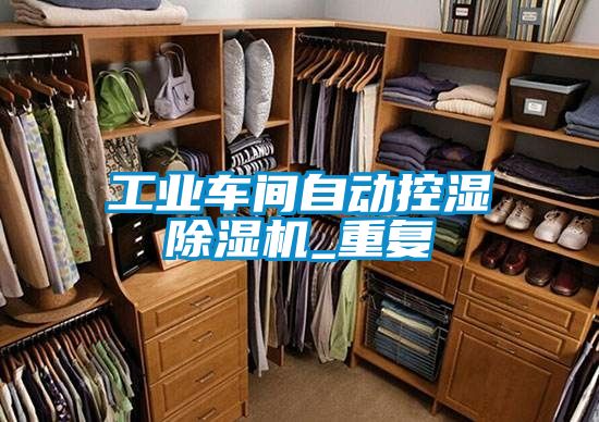 工業(yè)車間自動控濕除濕機_重復