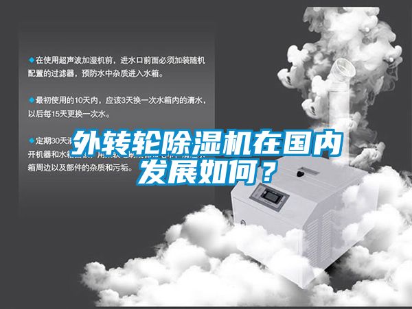 外轉(zhuǎn)輪除濕機(jī)在國內(nèi)發(fā)展如何？