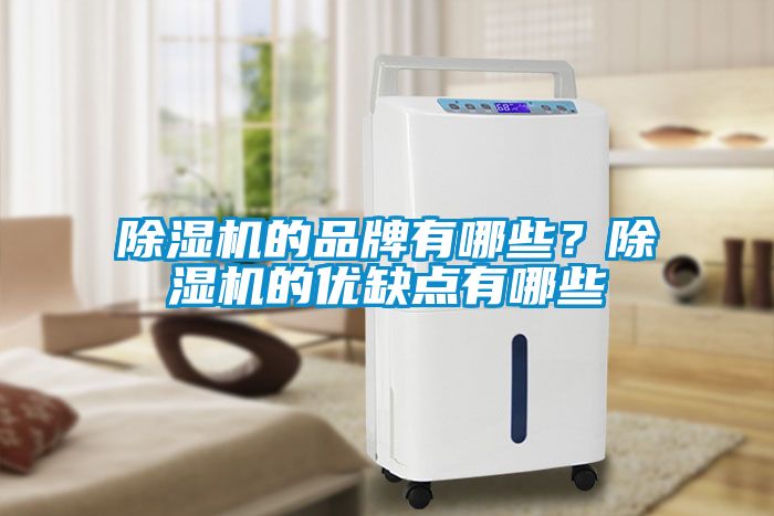 除濕機的品牌有哪些？除濕機的優(yōu)缺點有哪些