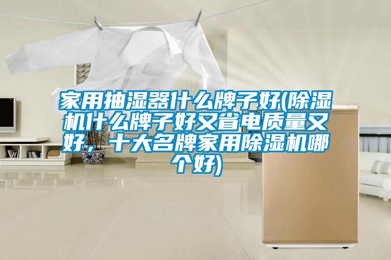 家用抽濕器什么牌子好(除濕機(jī)什么牌子好又省電質(zhì)量又好，十大名牌家用除濕機(jī)哪個好)